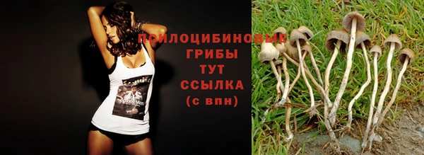 Альфа ПВП Абаза